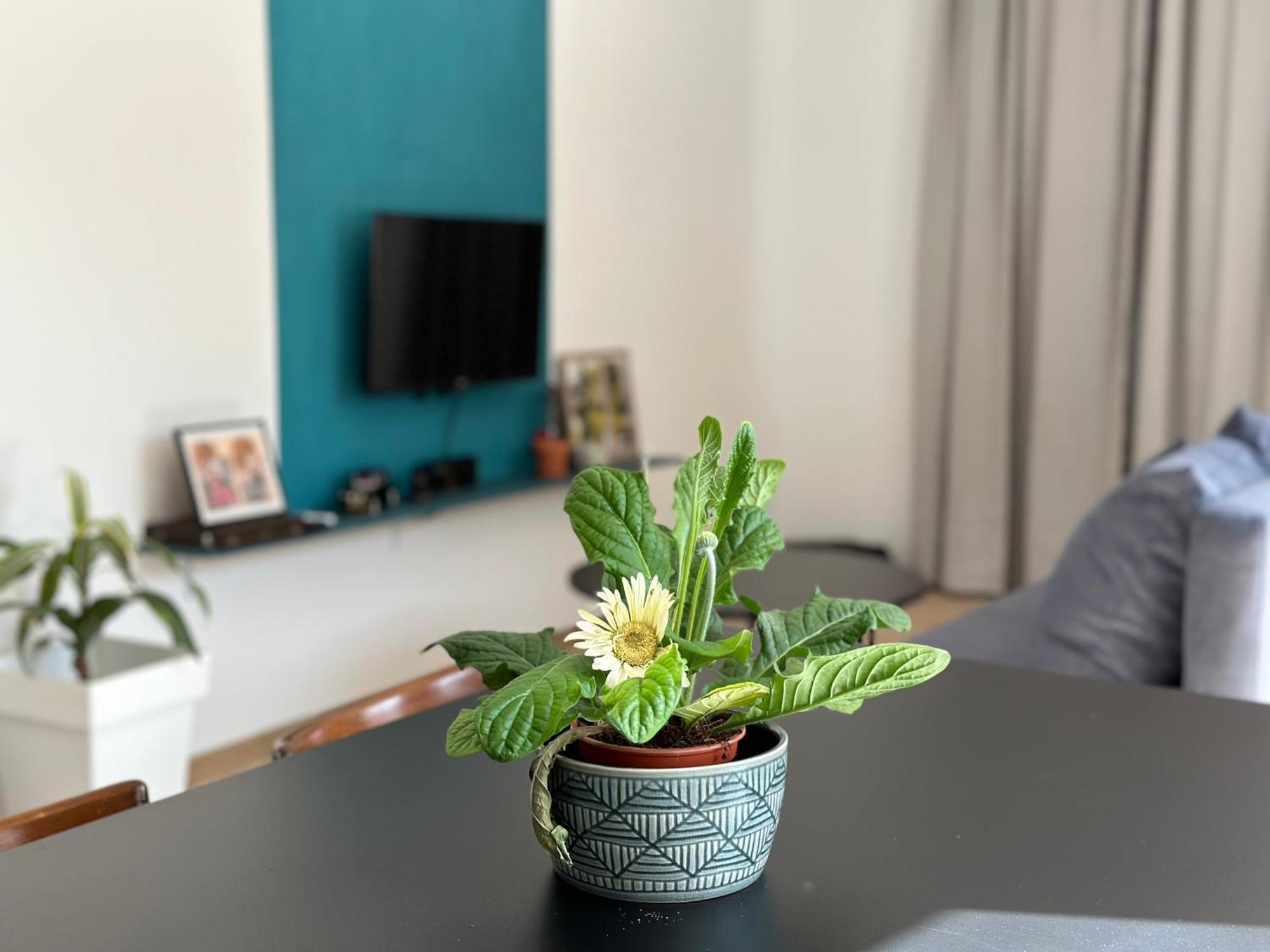New Garden Apartment Skopje Ngoại thất bức ảnh